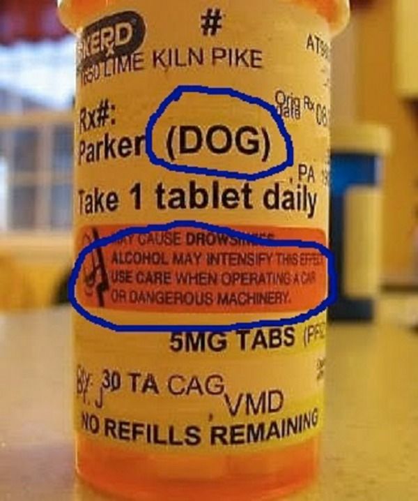 13 Strange Signs And Unnecessary Warning Labels Neatorama