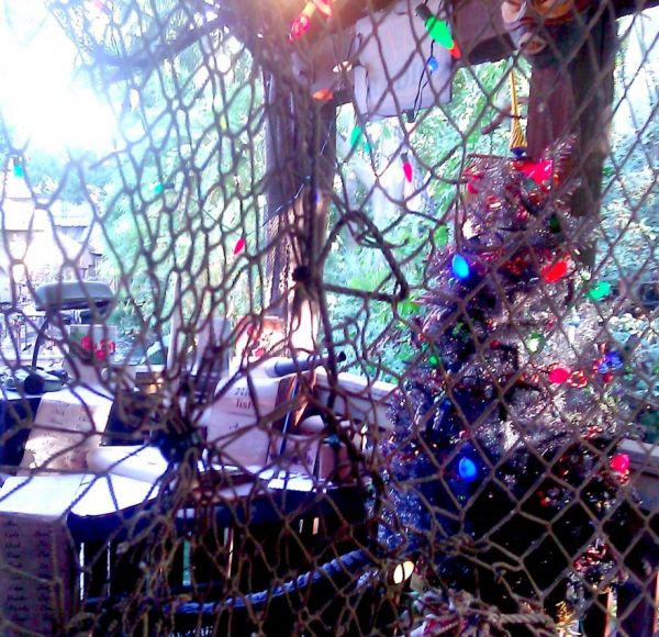Christmas Time At Disneyland & California Adventure - Neatorama