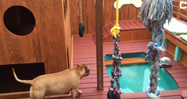Dad Builds a Palace For Dogs - Neatorama