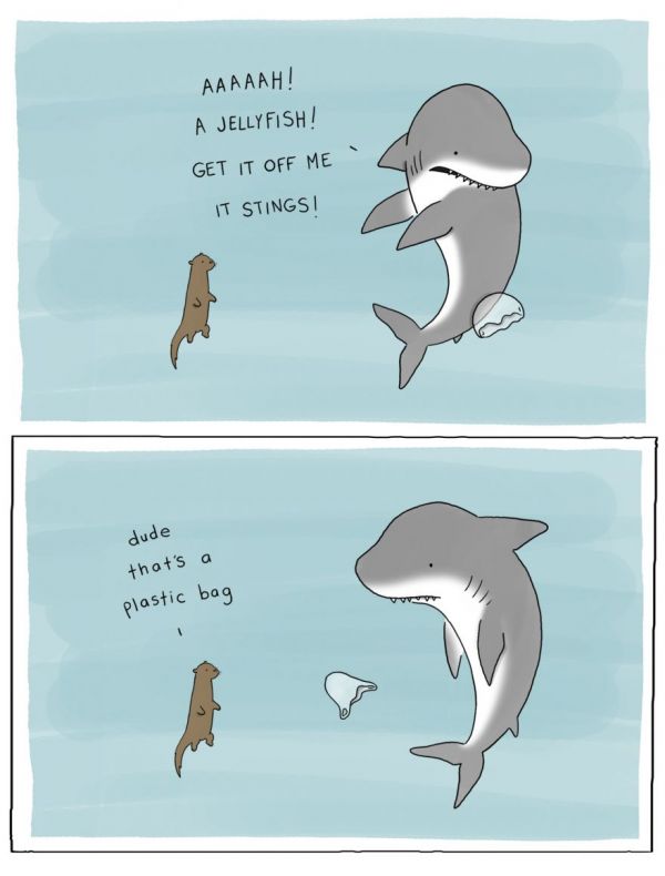 Lobster is the Best Medicine by Liz Climo Neatorama