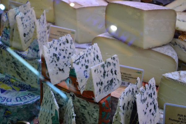 Roquefort cheese