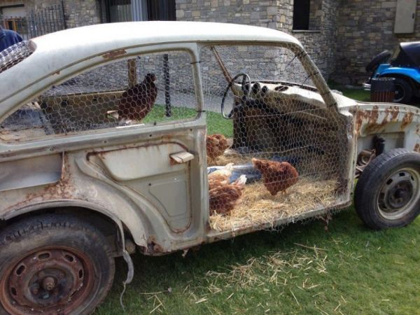 Funny Chicken Coops
