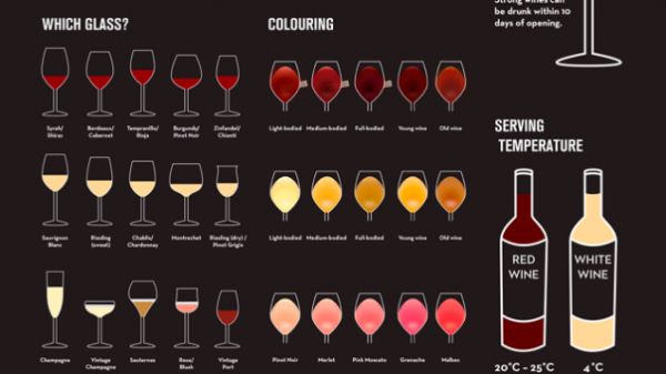 learn-the-ins-and-outs-of-wine-with-this-handy-chart-neatorama