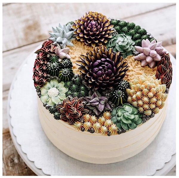 Succulent Cakes by Ivenoven Neatorama