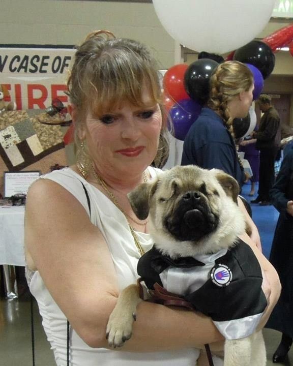 This Blind Pug Is Pretty Much The Cutest Service Dog Ever - Neatorama