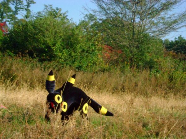 Ultimate Pokemon Pet Cosplay Umbreon Dog Neatorama