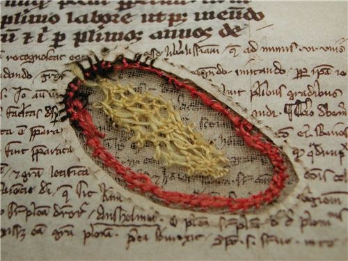 margin comments medieval manuscripts