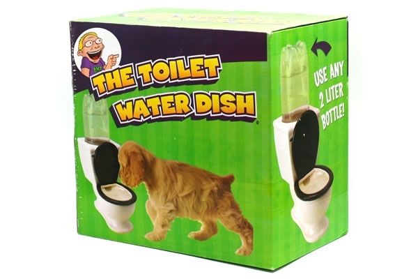 Pet Water Dish