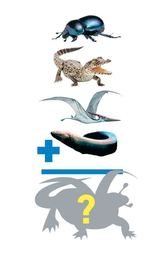 Could Dragons Have Evolved if Evolution Had Taken a Different Turn