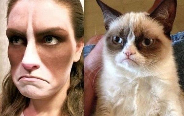 Grumpy Cat