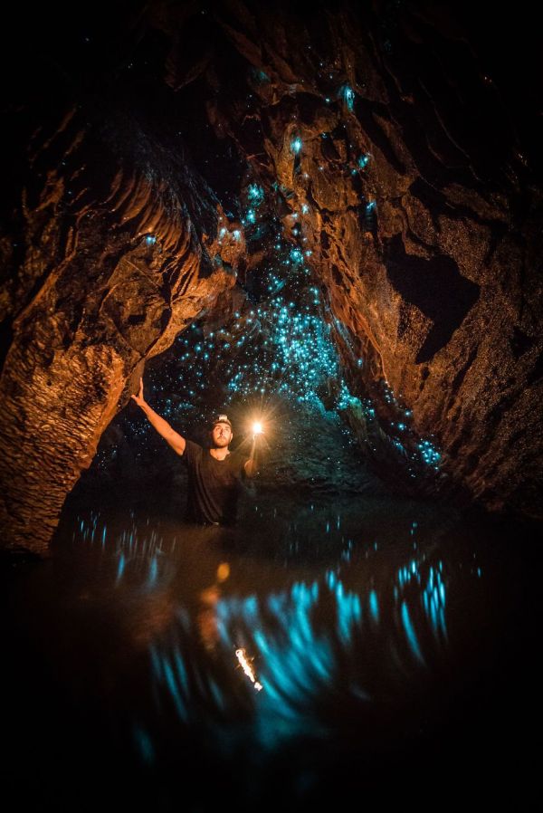 Glowing Worms Turn Caves In New Zealand Into A Magical Wonderland