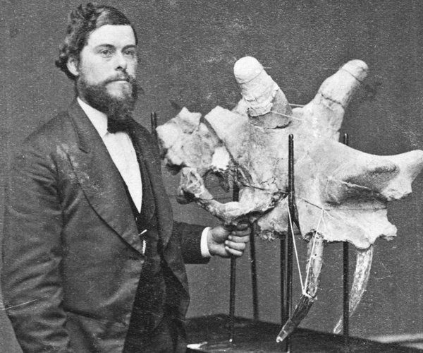 edward drinker cope discoveries