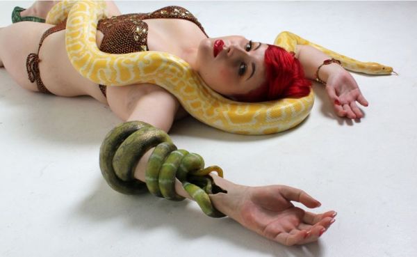 snake arm