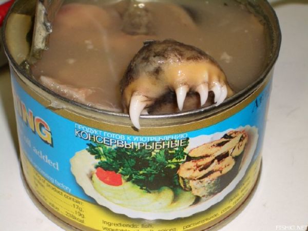 Ten Of The Most Disgusting Canned Food Products Neatorama 1161