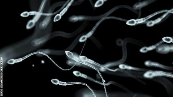 gelatin lumps in sperm