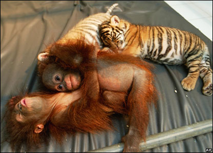 Best Friends Forever!