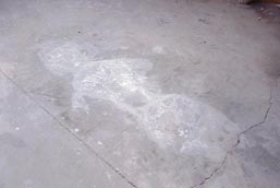 stain