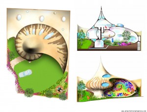 1242_6_nautilus6