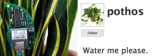 twittering-plant-device