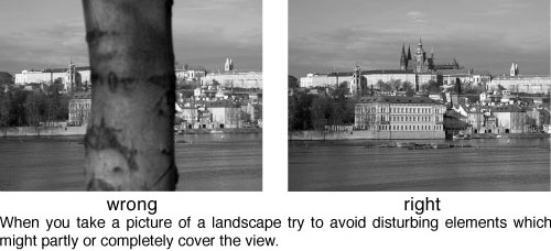 photo-tips