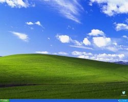 6a00d8341c858253ef0120a6754dff970c-800wi