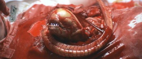 Alien chestbuster Alien chestbuster