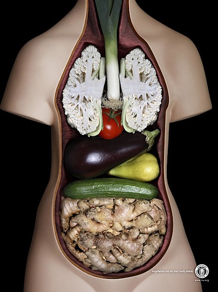 International-Vegetarian-Union International-Vegetarian-Union