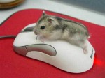 funny194 funny194