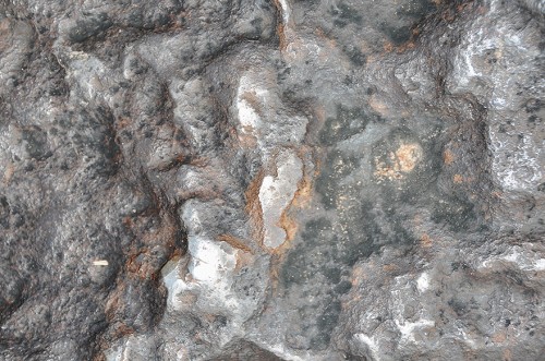 DSC_2120-close-up