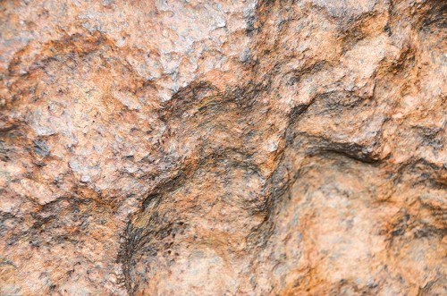 DSC_2121-close-up