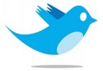 twitter bird