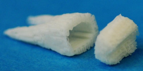 Human molar scaffold