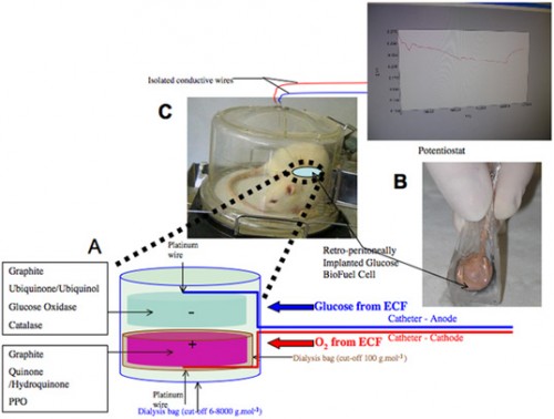 glucose-biofuel-cell