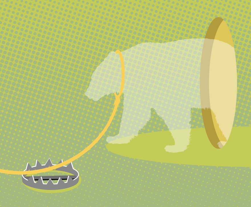 Bear Trap