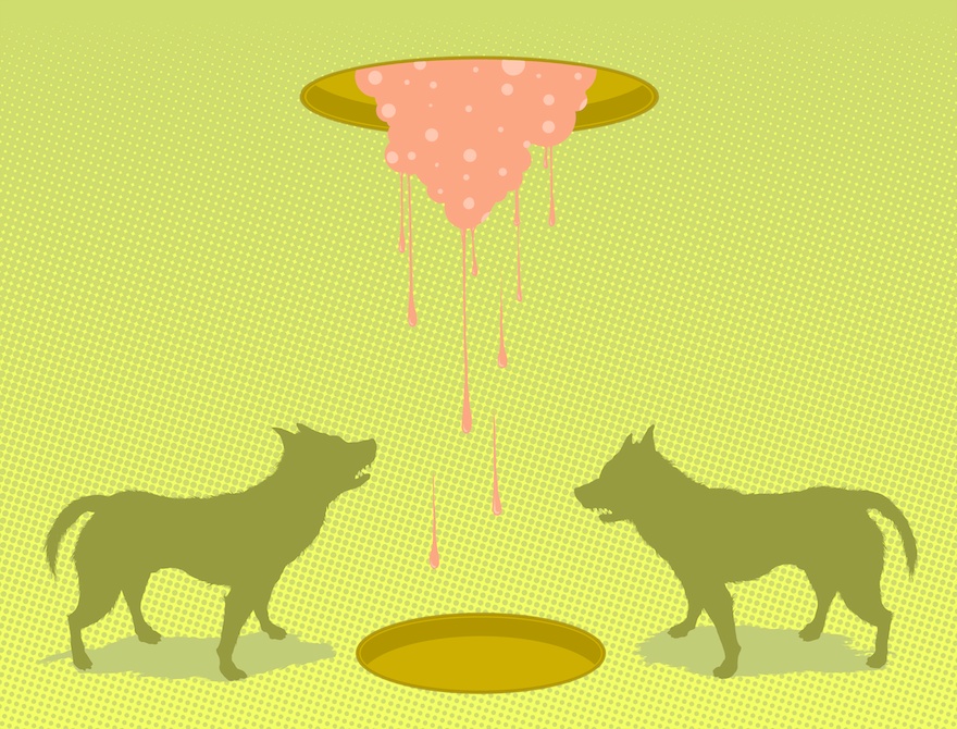 Hungry Dogs