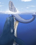 Leviathan