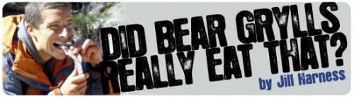 beargrylls