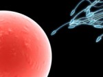 infertility_l