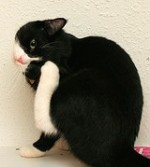scratch