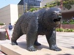 ucla