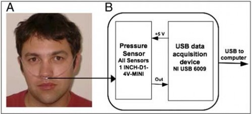 PNAS-2010-Plotkin-1006746107