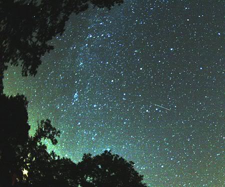 PerseidMeteorShowerNightsky2