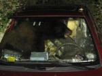 beardriver