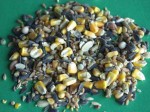birdseed