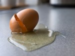 egg