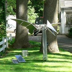 squirrel-powered_kinetic_sculpture