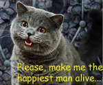 proposalcat