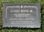 sammydavis