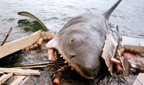 M8DJAWS EC001