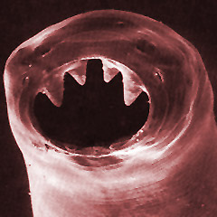 2535649627_9f68101e2c_o